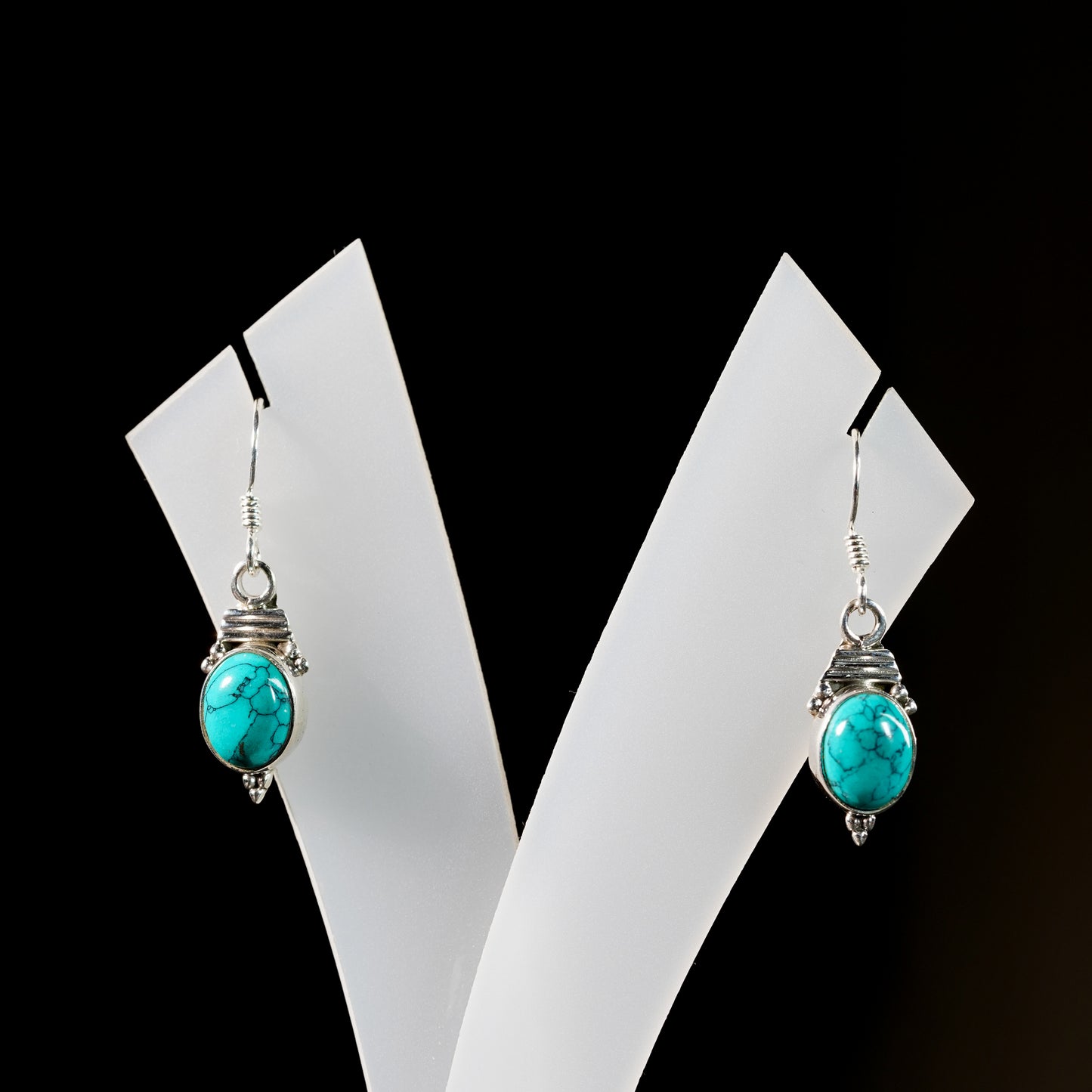 8x10 Turtle Neck Earrings