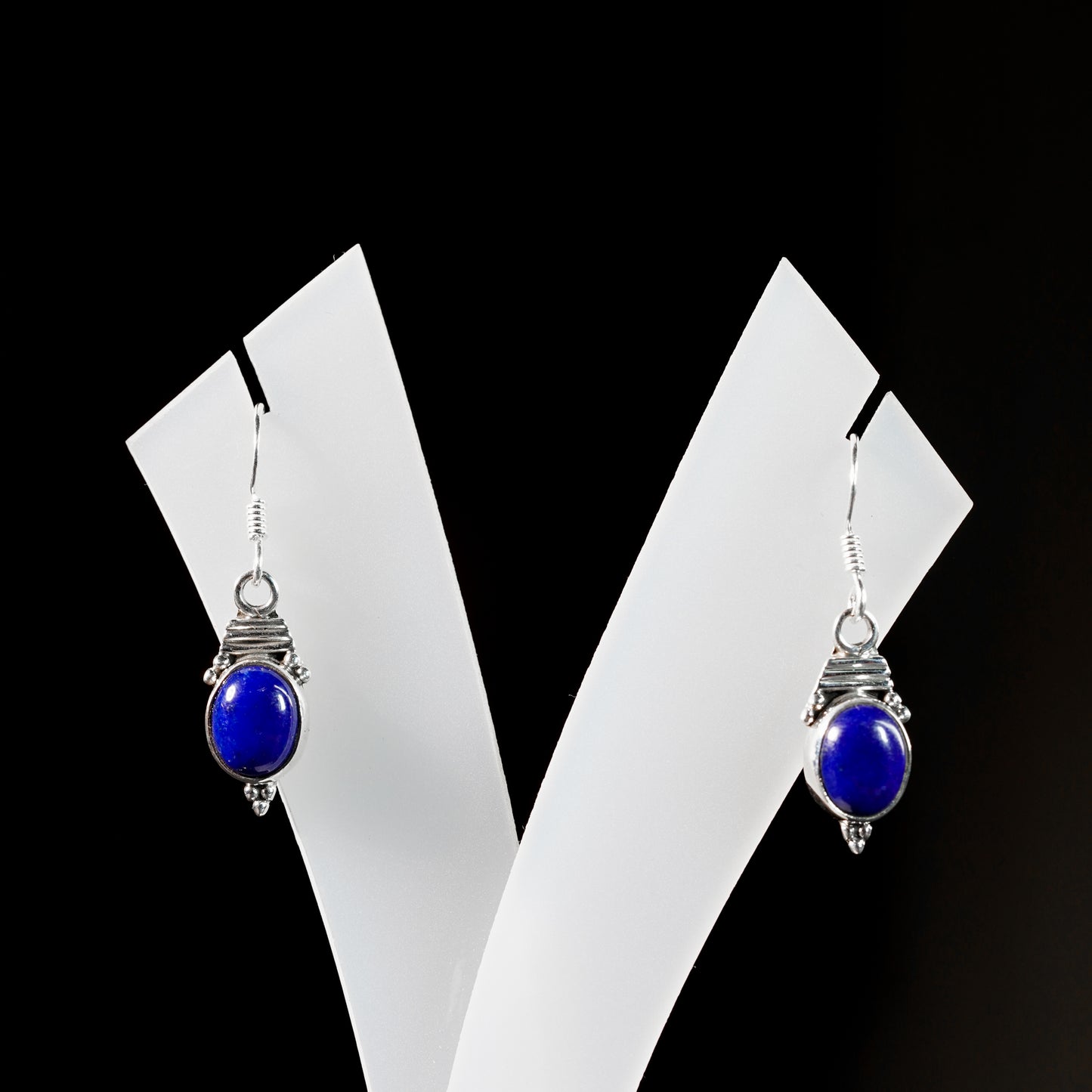 8x10 Turtle Neck Earrings